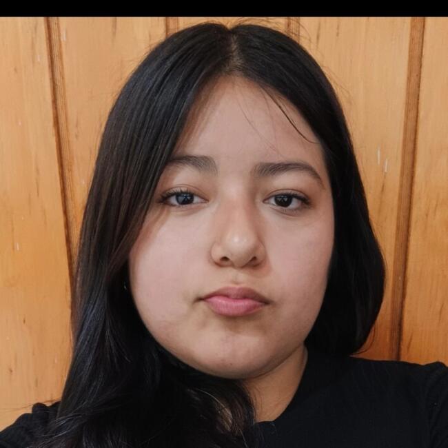 Babysitter in La Florida: Valery