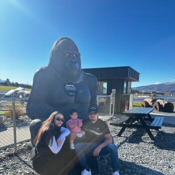 Babysitting job in Dunedin: babysitting job Treyliss