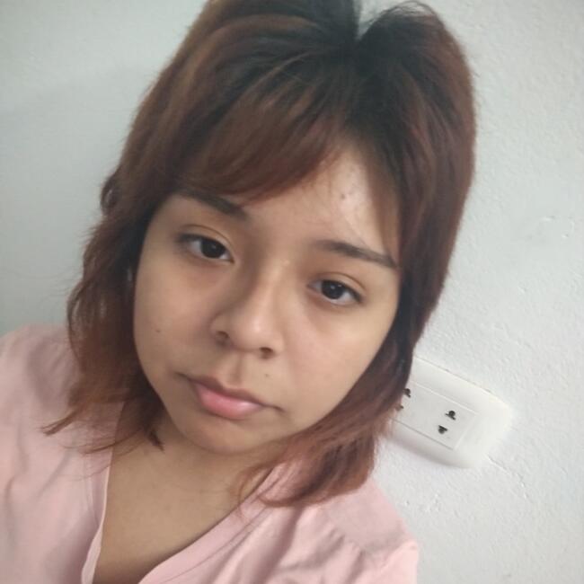Babysitter in Puente Piedra (Departamento de Lima): Aracely