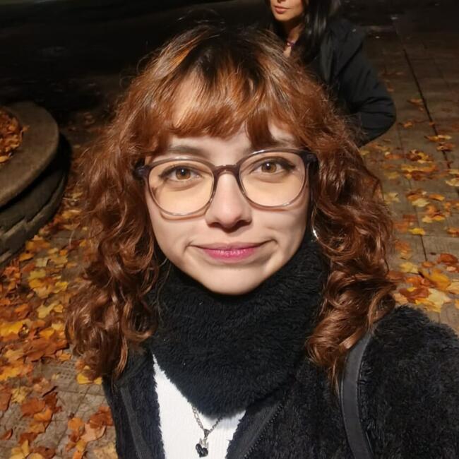 Babysitter in Temuco: Valentina Jara