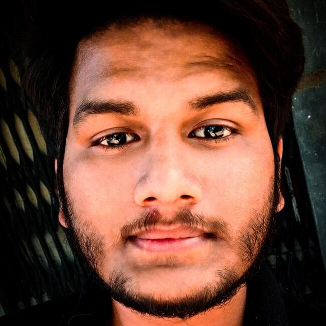 नोएडा में बेबीसिटर: Abhishek