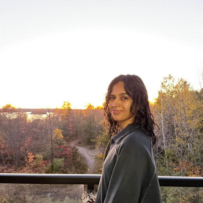 Baby-sitter in Brampton: Nimrit