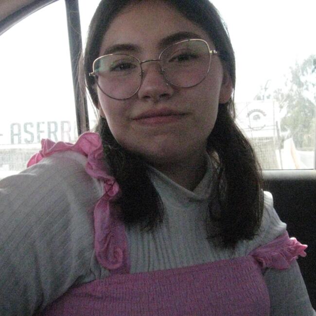 Babysitter in La Serena: Pía