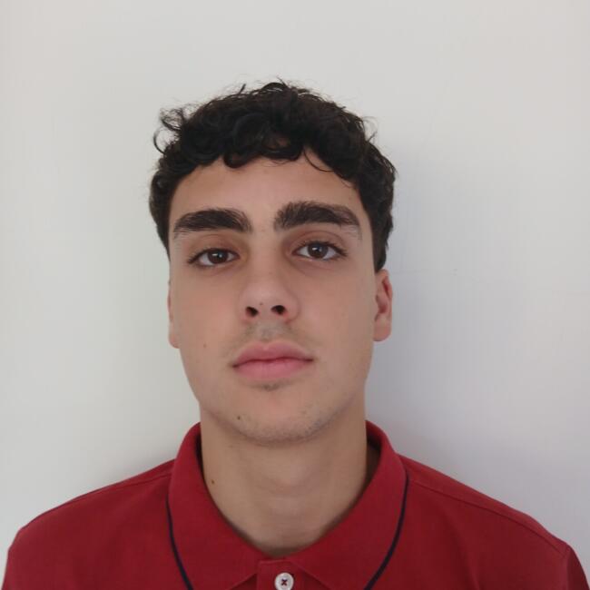 Babysitter em Brogueira: Pedro
