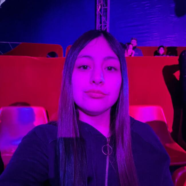 Niñera en Lo Espejo: Carolina