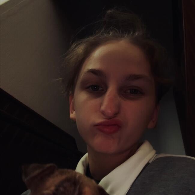Babysitter in Vitry-le-François: Sandy