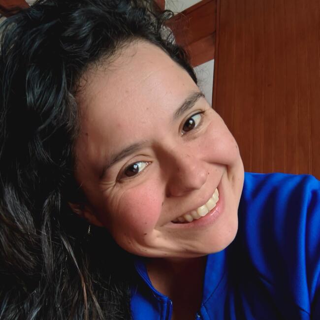 Babysitting job in Coquimbo: Francisca