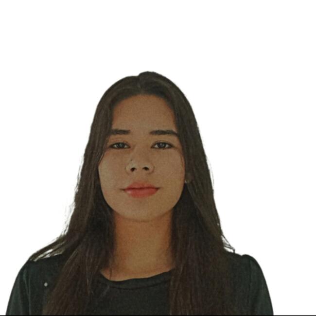 Babysitter in Cangas del Narcea: Sara