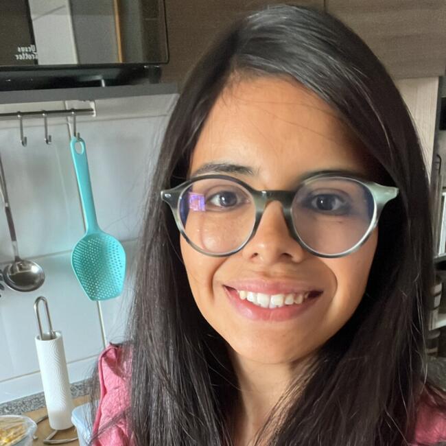 Babysitting job in Santiago: Zennia