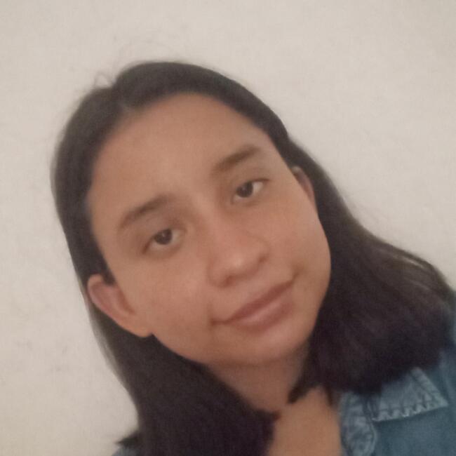 Babysitter in Cúcuta: Evelyn valero