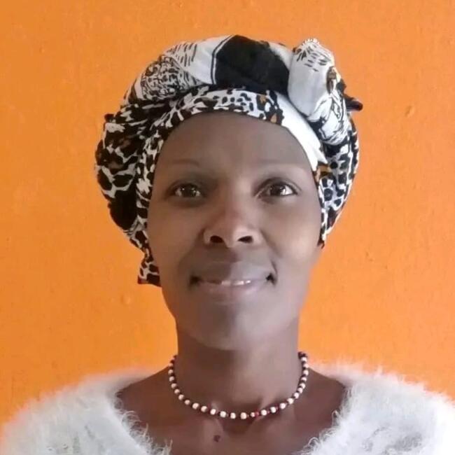 Babysitter in Emalahleni: Lindiwe