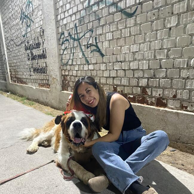 Babysitter in Perth: Constanza