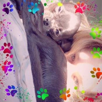 Babysitter Raleigh: Kera