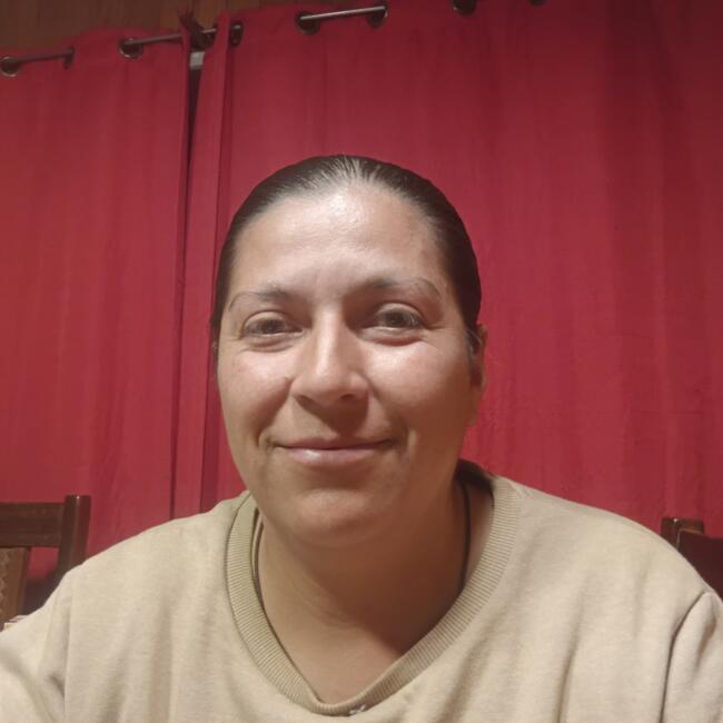 Babysitter in Port Montt: Rosa