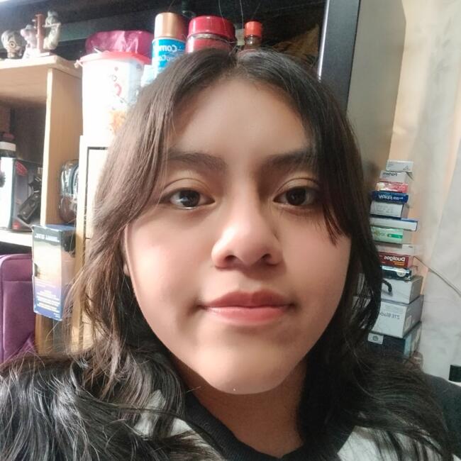 Niñera en Ciudad de México: Diana