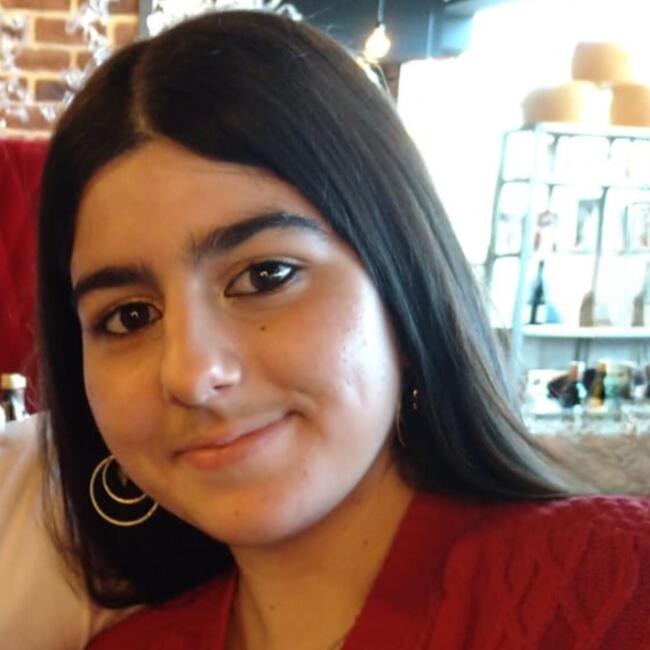 Babysitter in Vélizy-Villacoublay: Elisa