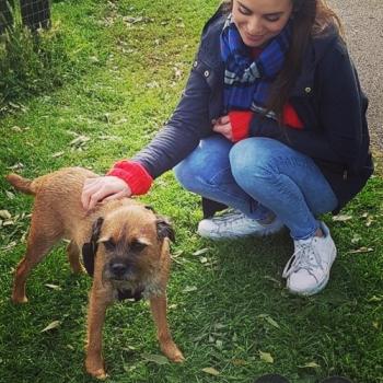 Babysitter Taupo: Claudia