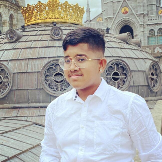 Babysitter in Mitry-Mory: Harish