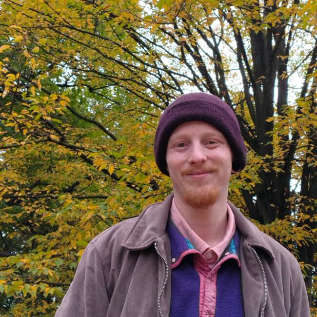 Babysitter in Halle: Luis