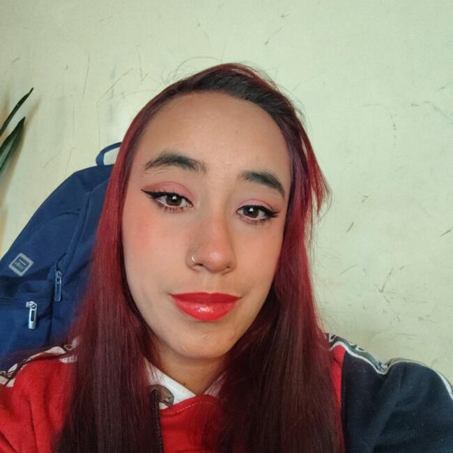 Babysitter in Soacha: Yuliana