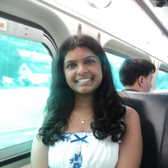 Babysitter in Hawthorn Woods: Deeya