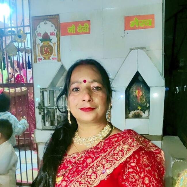 दिल्ली में बेबीसिटर: Rajni