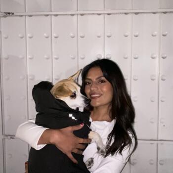 Babysitter in L'Union (Occitanie): Dulce