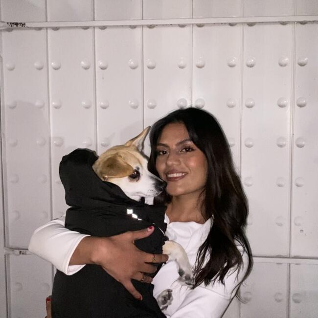 Babysitter in L'Union (Occitanie): Dulce