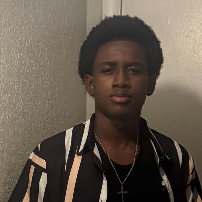 Babysitter in Lauderdale Lakes: Ferson Faulkner