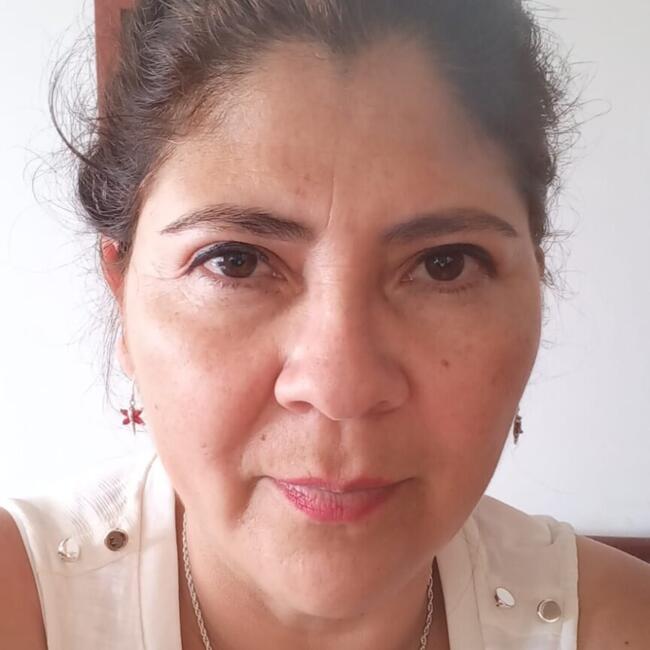 Babysitter in Antofagasta: Priscila