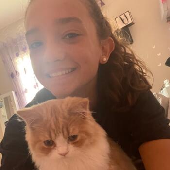 Babysitter Geneston: LOUNA