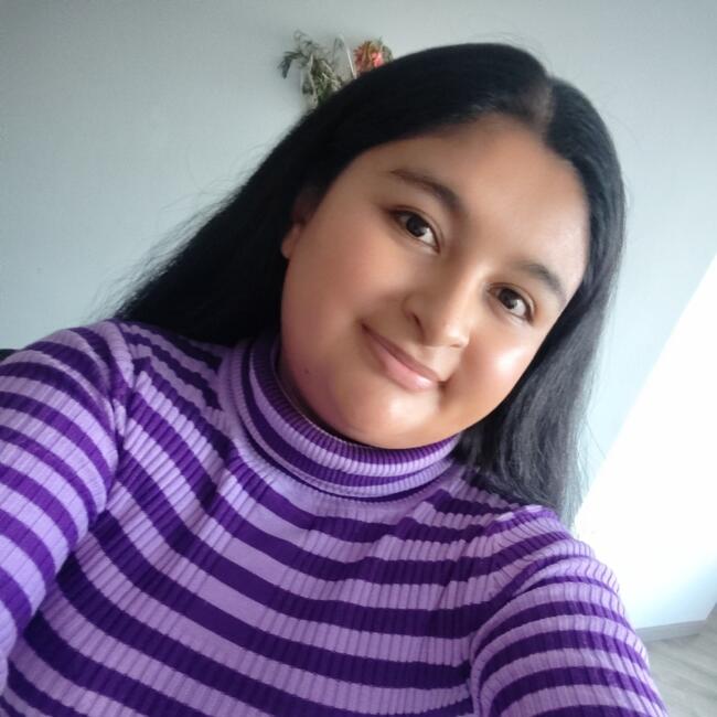 Baby-sitter in Macul: Yenifer Mendoza Yara