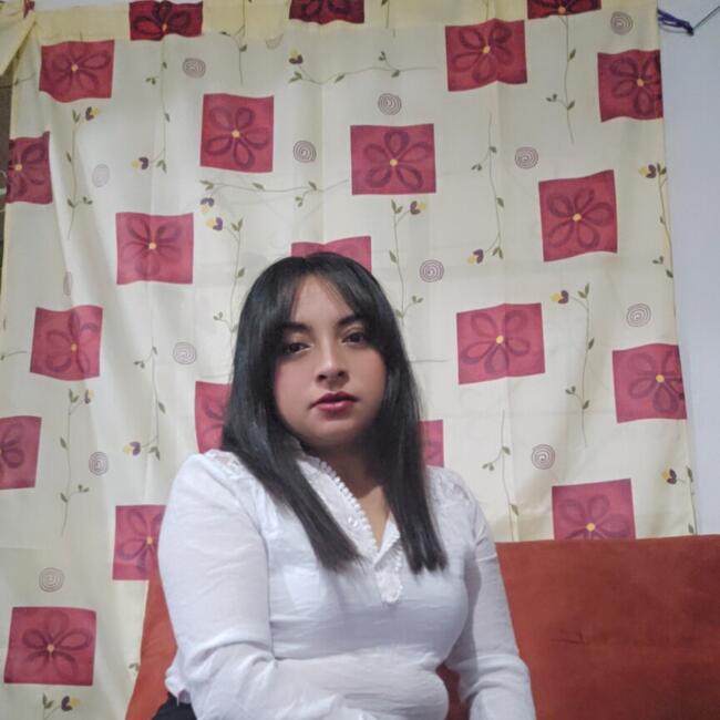 Babysitter in Los Reyes Acaquilpan: Silvia Angela