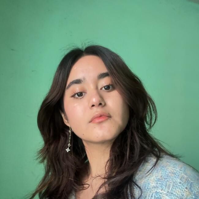 Babysitter in Villahermosa: Iris