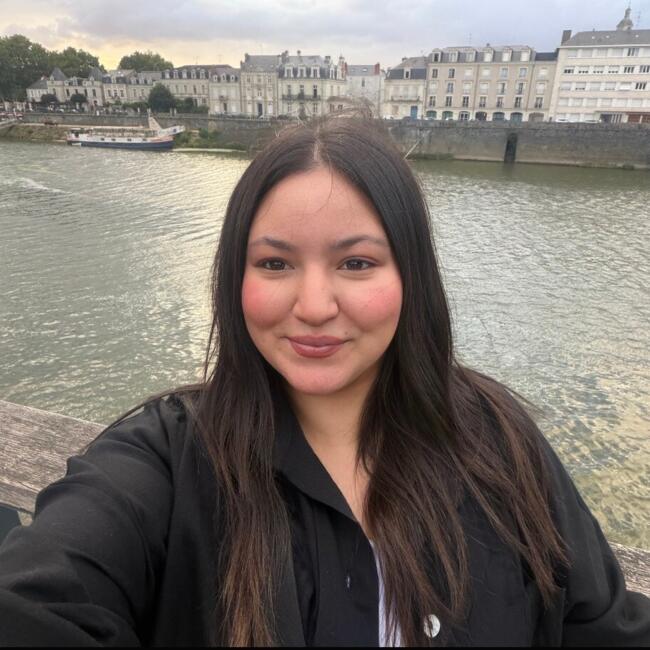 Babysitter in Angers: EL ALLAM
