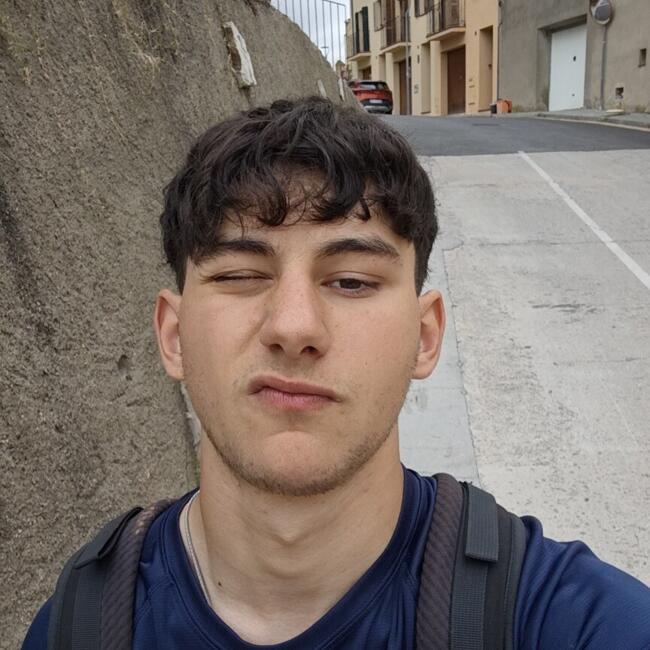 Babysitter in Sant Boi de Llobregat: Joel