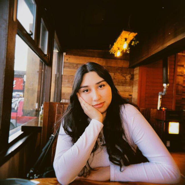 Babysitter in Port Montt: Javiera maldonado