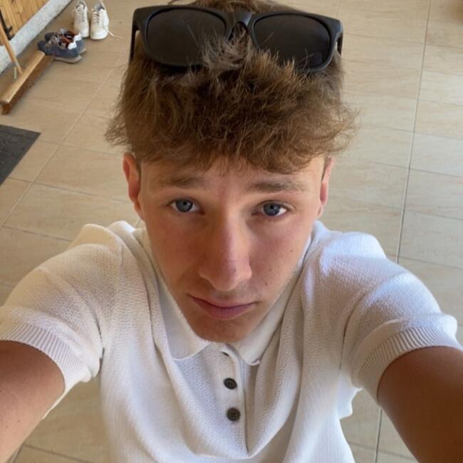 Babysitter in Zulte: Artuur