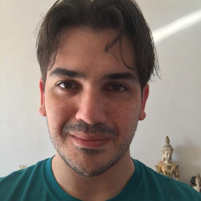 Babysitting job in São Paulo (São Paulo): Raphael