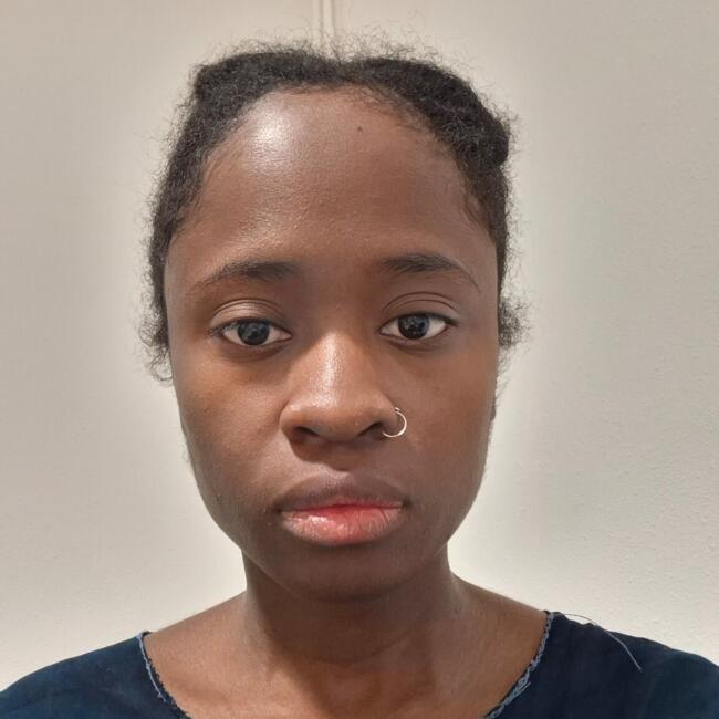 Babysitter in Villeneuve-d'Ascq: Oumoukoulthoume