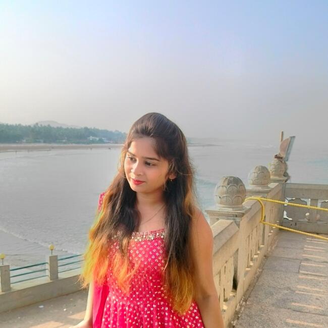 बंगलौर में बेबीसिटर: Sanjana ks