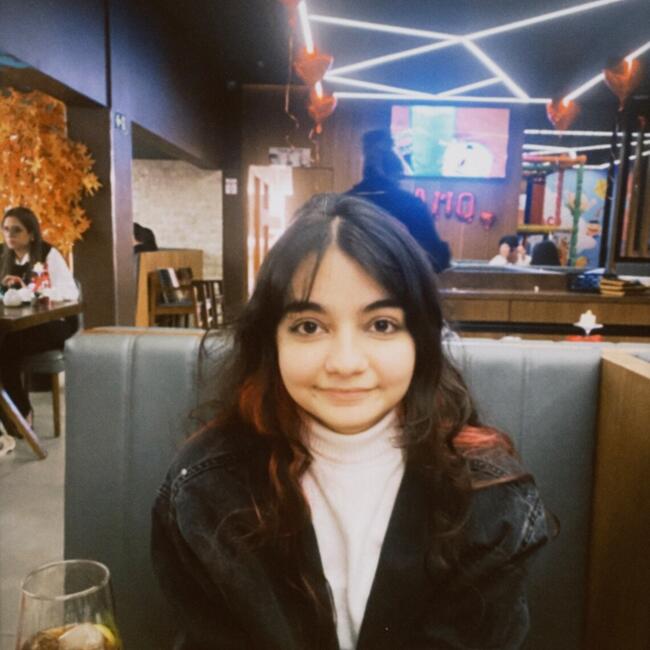 Babysitter in Piracicaba: Livia