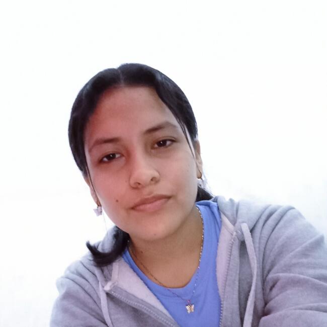 Babysitter in San Juan de Lurigancho: Camila