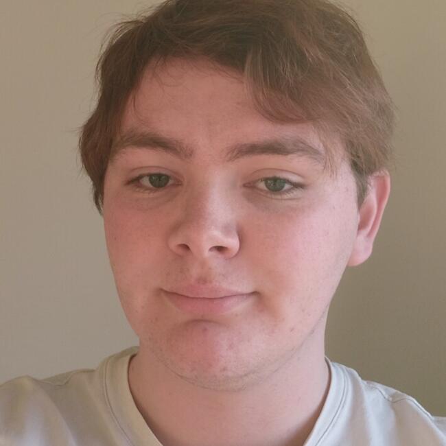 Babysitter in Caen: Robin