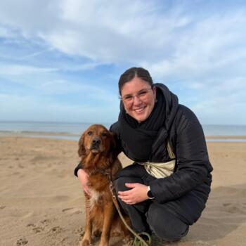 בייביסיטר ב- Verviers: Manon