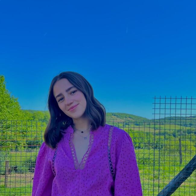 Babysitter in Toulouse: Louise