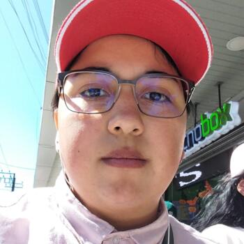 Babysitter in Valdivia: Ana Luisa