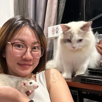 Pengasuh di Singapore Island: Hui lin