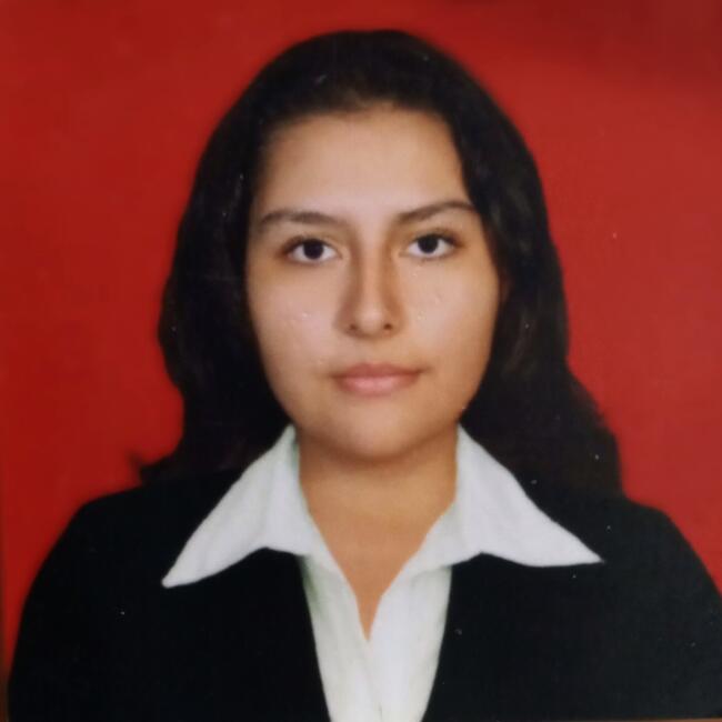 Babysitter in Santa Cruz: Gressel yandira