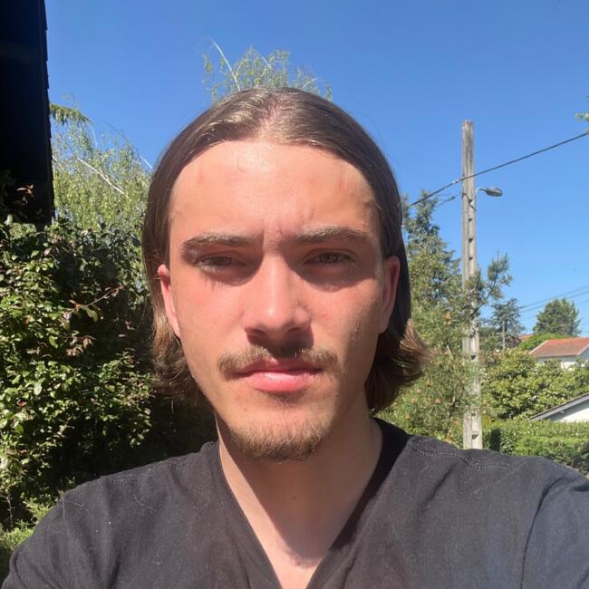Babysitter in Dardilly: Tristan